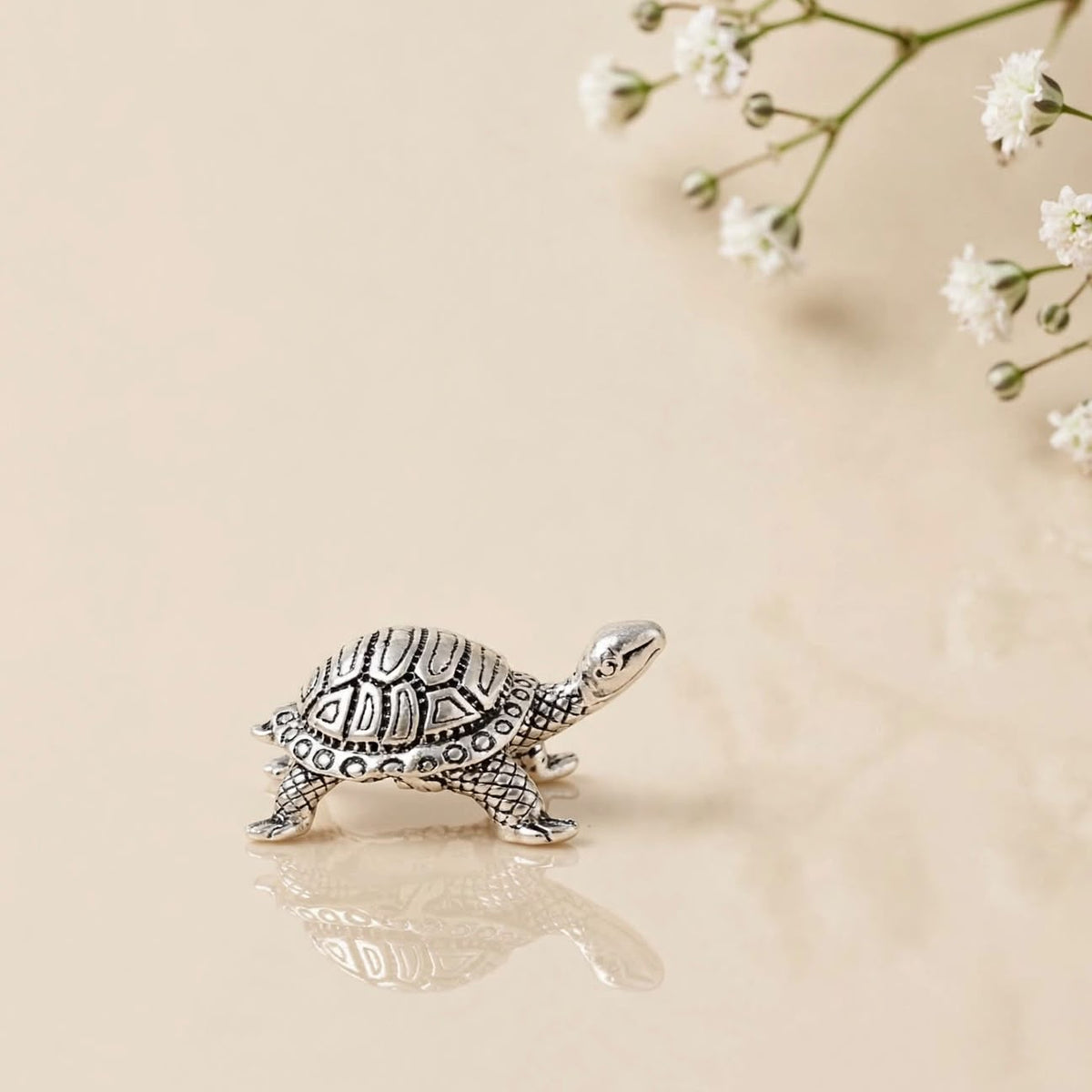 SILVER KACHHUA
