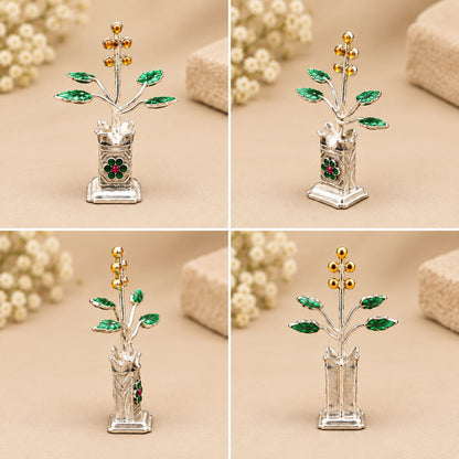 SILVER TULSI PLANT
