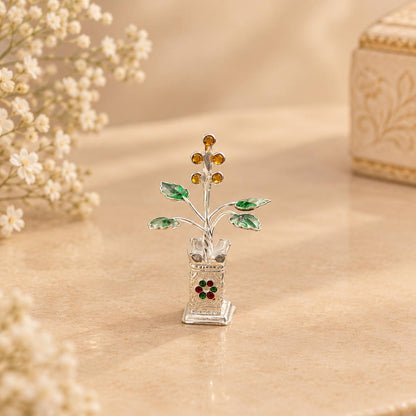 SILVER TULSI PLANT