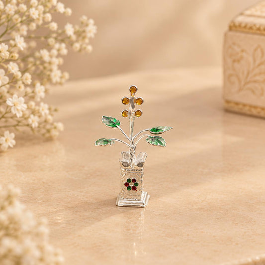 SILVER TULSI PLANT